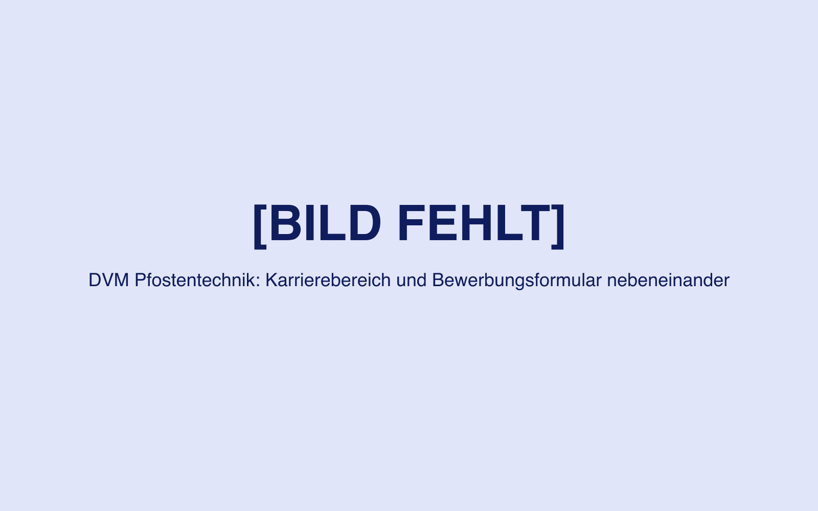 [BILD FEHLT: Karrierebereich und Bewerbungsformular auf dvm-rhede.de nebeneinander]